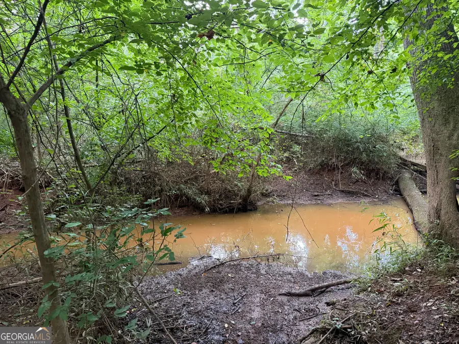 49.2 ACRES Jordon Road, Waverly Hall, GA 31831 - #3