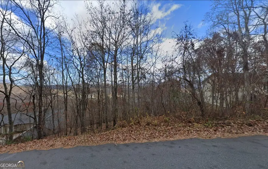 956 Ramey Mountain Road, Hiawassee, GA 30546 - #2