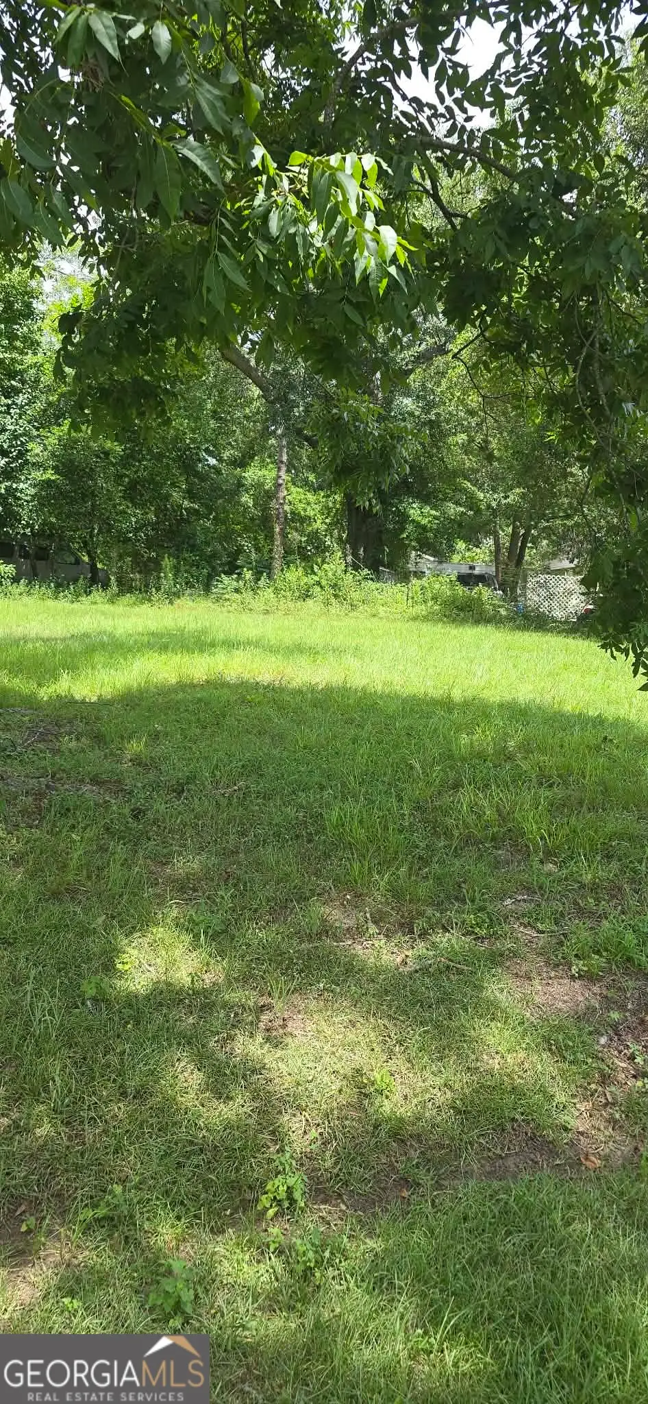 0 Pineknot Road, Ashburn, GA 31714 - #1