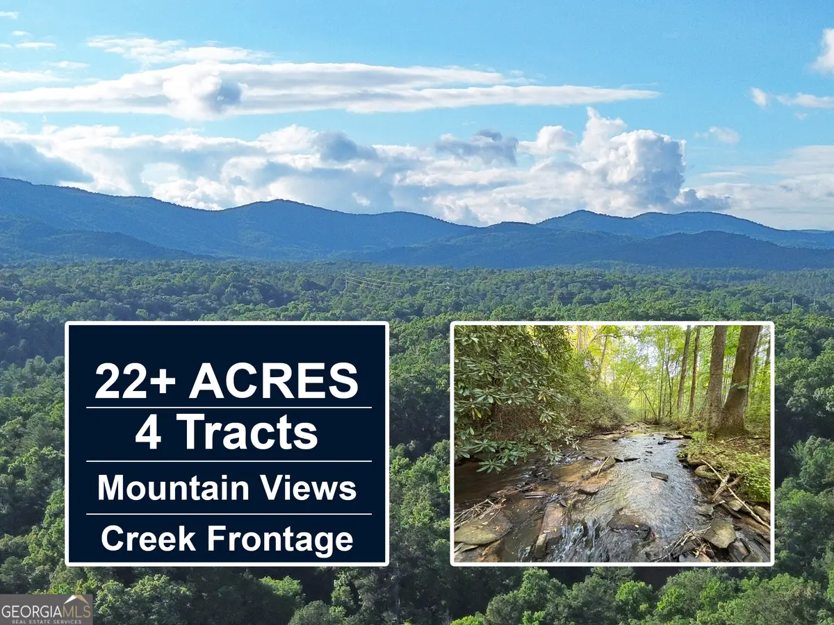 1720 Mt Springer Road, Ellijay, GA 30540 - #1