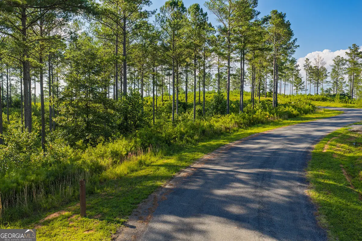 LOT 68 High River Road, Ellijay, GA 30540 - #1