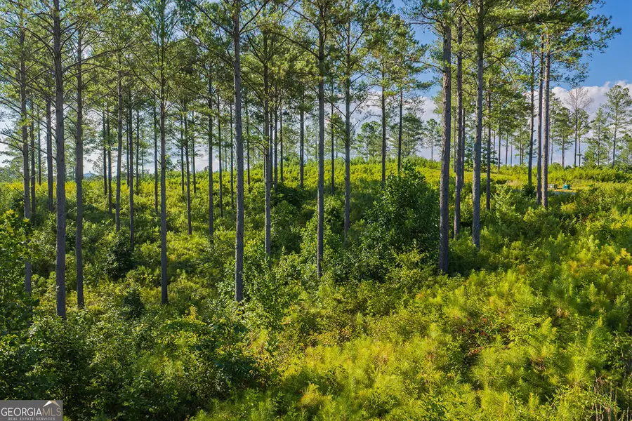 LOT 68 High River Road, Ellijay, GA 30540 - #2