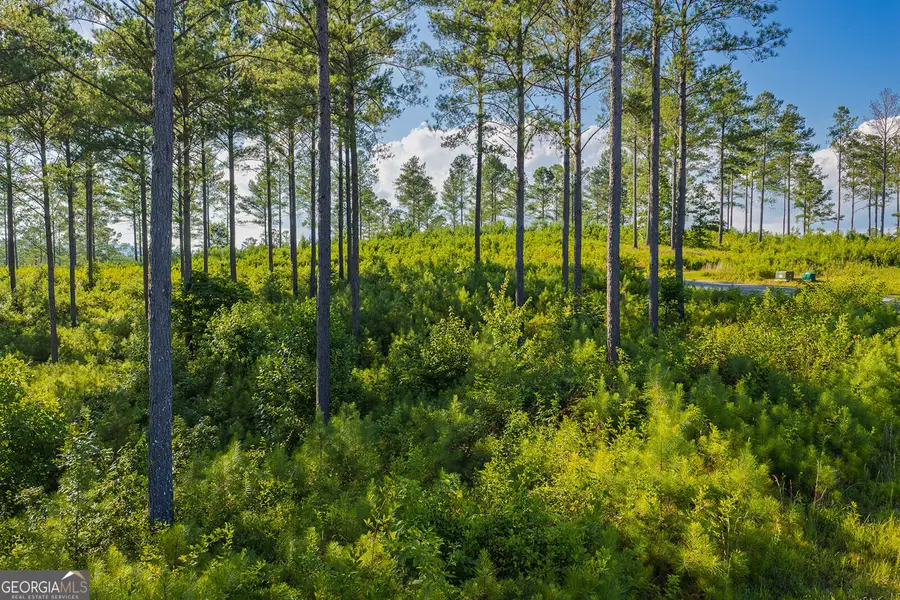 LOT 68 High River Road, Ellijay, GA 30540 - #3