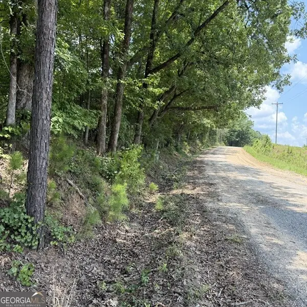 80.61 ACRES Howard Neal Road, Junction City, GA 31812