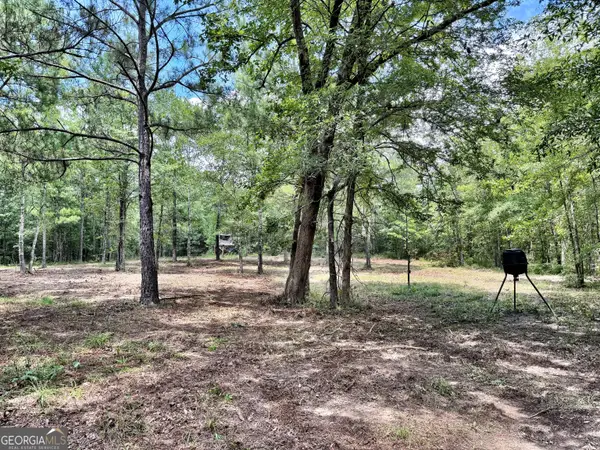 1 Us Highway 80 W, Roberta, GA 31078