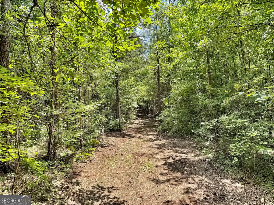 1 Us Highway 80 W, Roberta, GA 31078 - #2