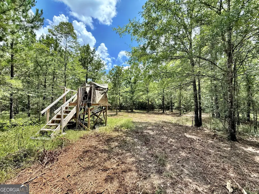 1 Us Highway 80 W, Roberta, GA 31078 - #3