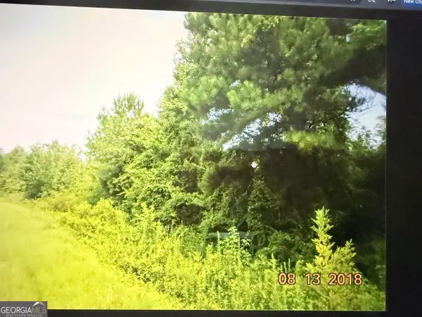 C017-020 Whitaker Road, Roberta, GA 31078