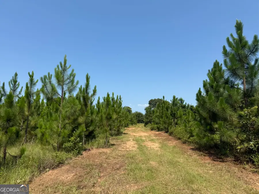 002 Barge Road, Lumpkin, GA 31815 - #3