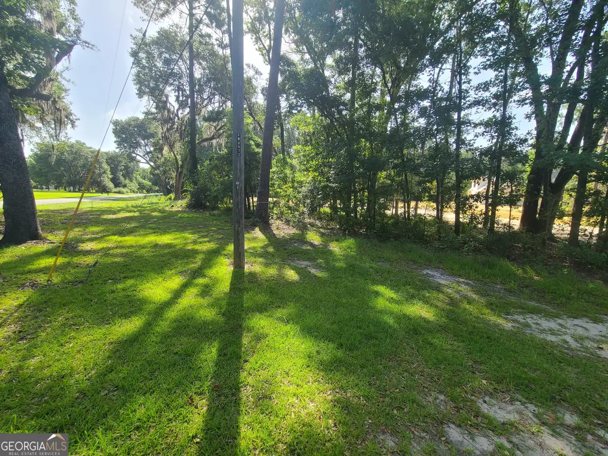 160 Conaway Road, Bloomingdale, GA 31302 - #1