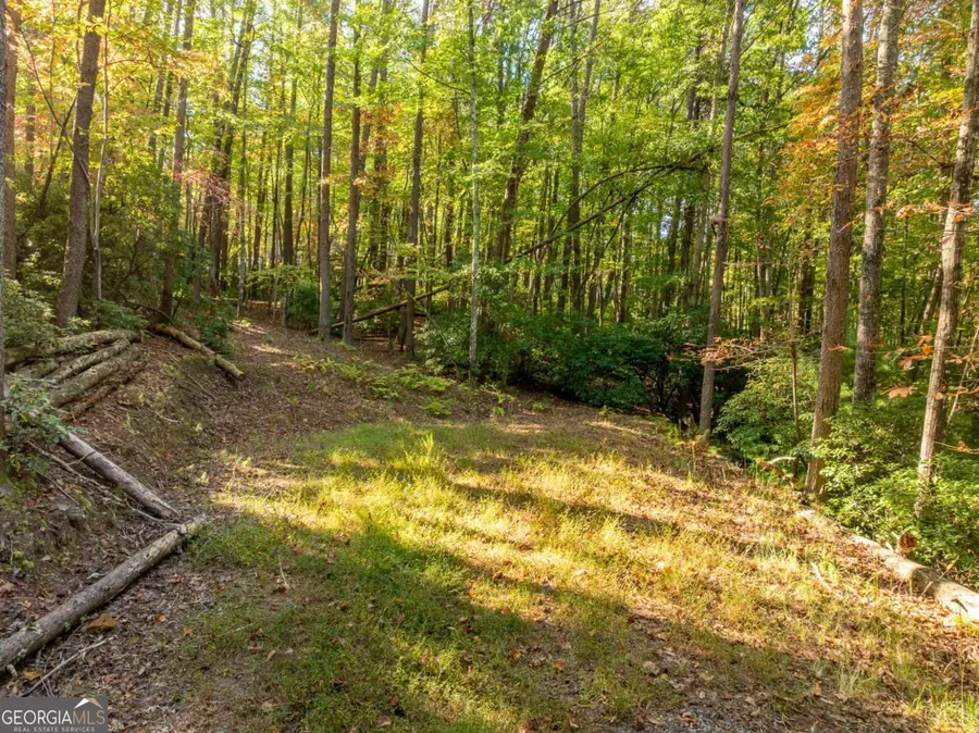 TRACT 1 Turniptown Road, Ellijay, GA 30536 - #3