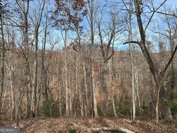 0 Highway 105, Baldwin, GA 30511