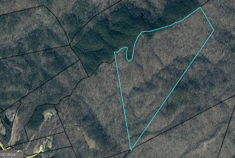0 Highway 105, Banks, GA 30511 - #3