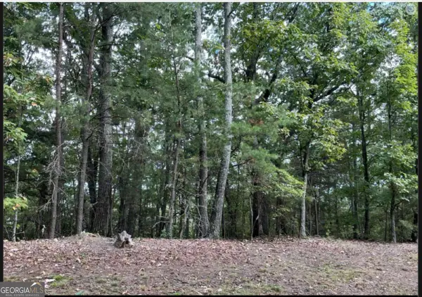 0 W Farmview Road, Ellijay, GA 30175