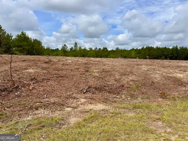 LOT B Rock Springs Road, Dublin, GA 31021