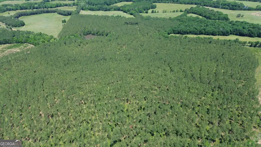 0 Flatwoods Road River Road & Colonel Dixon Road, Elberton, GA 30635 - #2