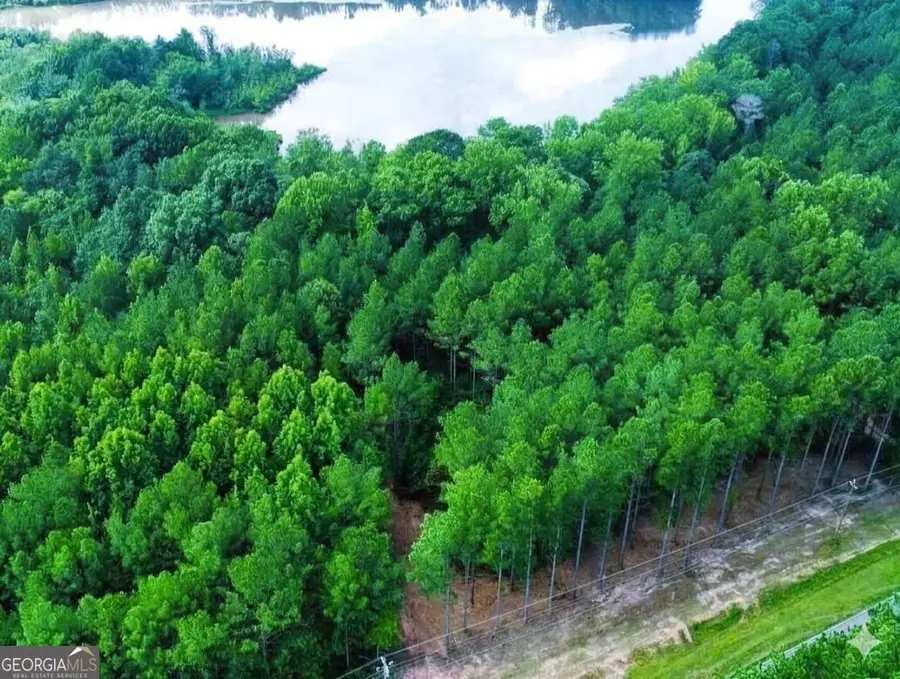 1712 Blue Creek Road, Hogansville, GA 30230 - #3