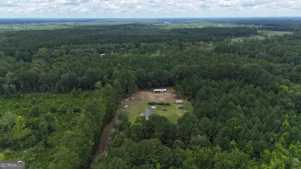 913 Berryville Road, Clyo, GA 31303