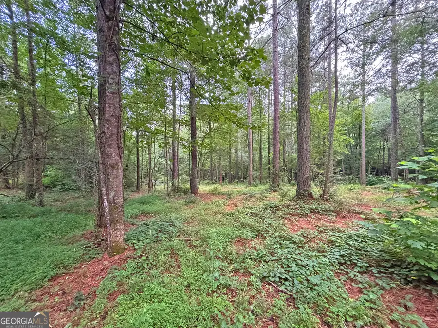 10AC Lovejoy Lane, Talking Rock, GA 30175 - #2