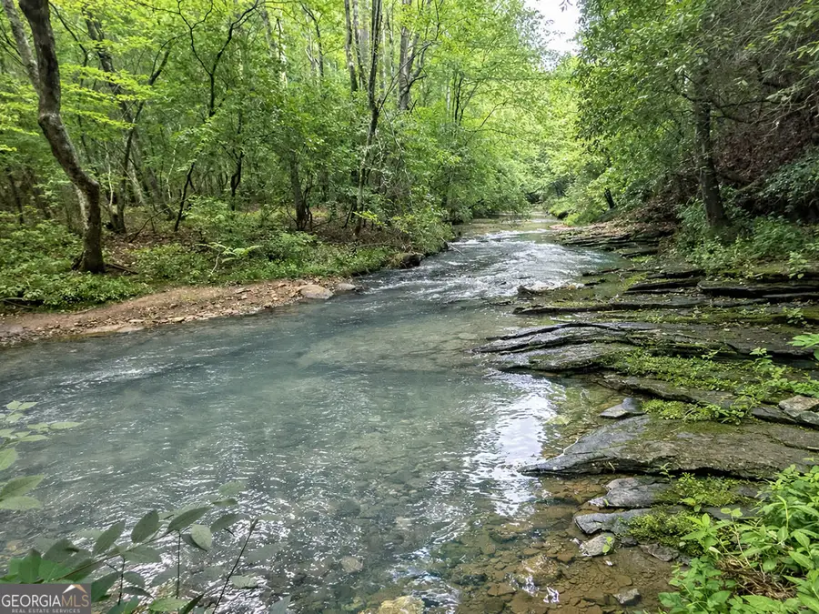 20AC Yonder Way, Talking Rock, GA 30175 - #3
