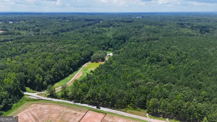 0 Stallings Road, Senoia, GA 30276 - #2