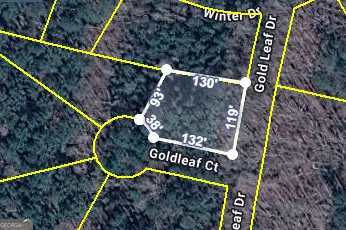 0 Gold Leaf Drive, Grantville, GA 30220