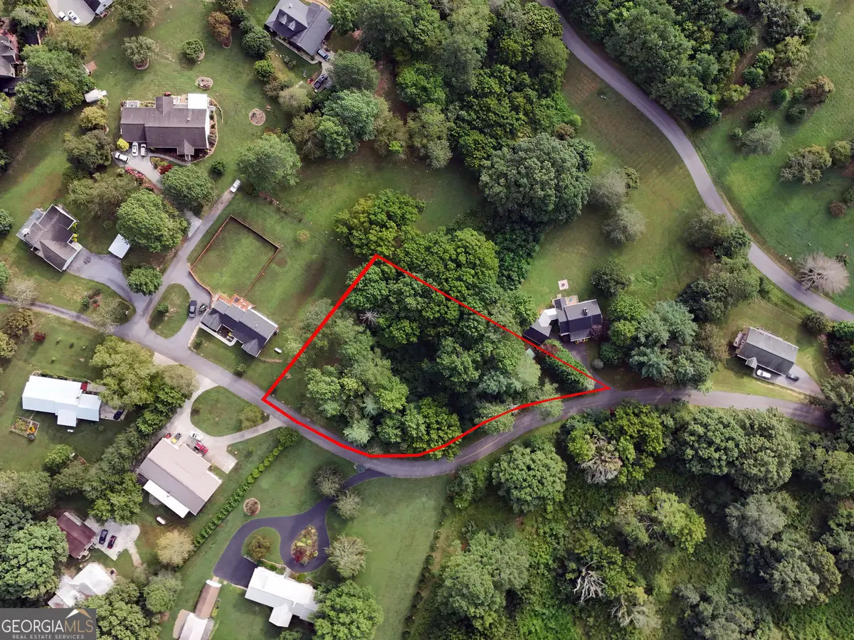 LOT 4 River Lake Estates, Blairsville, GA 30512 - #1
