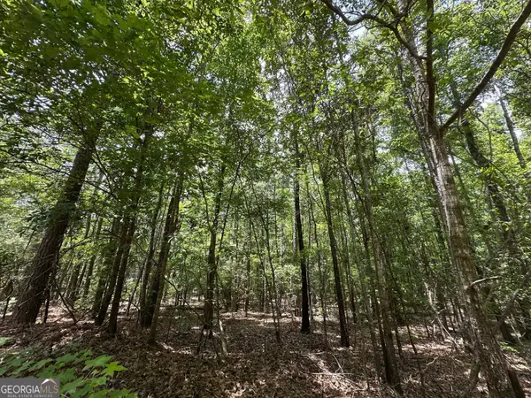 9.82 +/- ACRES Springfield Road, Sparta, GA 31087