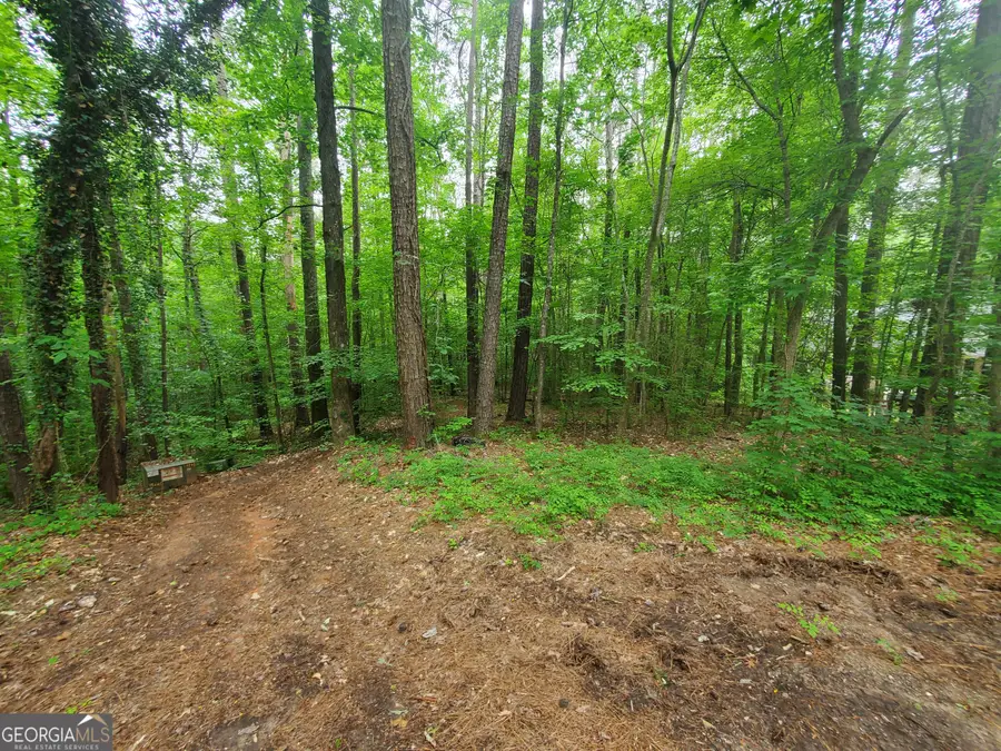 0 W Mourning Dove Court, Monticello, GA 31064 - #3