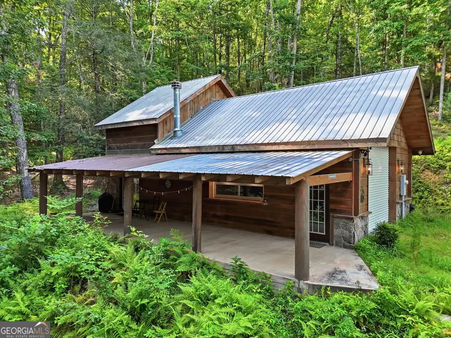 50 Pigeon Creek Road, Blue Ridge, GA 30513 - #3