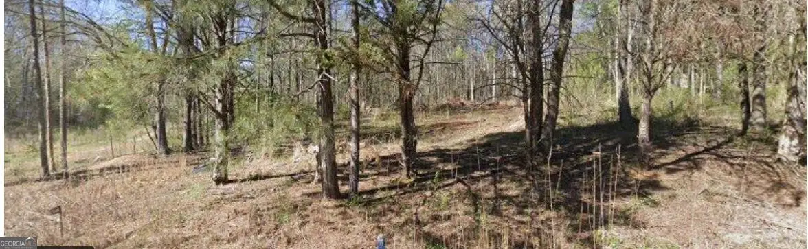 358 Jims Lane, Nicholson, GA 30565 - #1