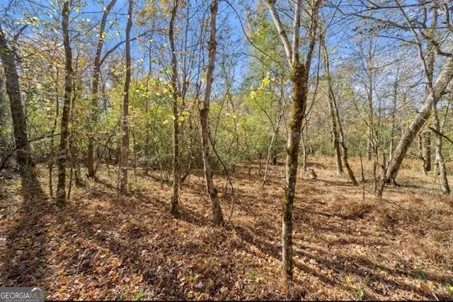 0 Cords Bridge Road, Milledgeville, GA 31061 - #2