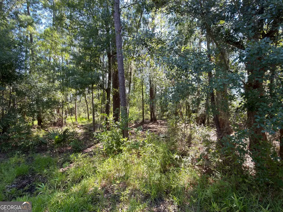 0 Mallard Pond Road, Midway, GA 31320 - #2