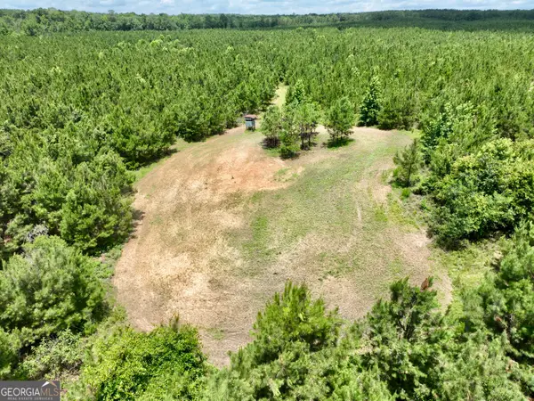 0 Everett Wood Road, Ideal, GA 31041