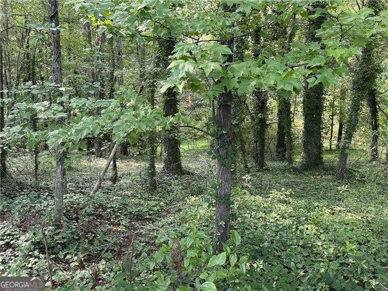 0 Boxer Lane, Cumming, GA 30028 - #2