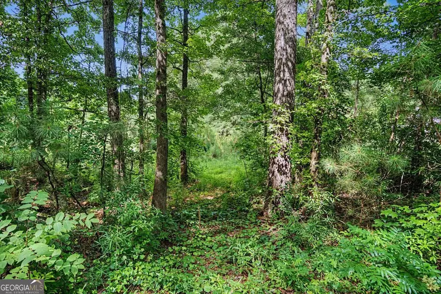 0 Windom Road, Tallapoosa, GA 30176 - #3