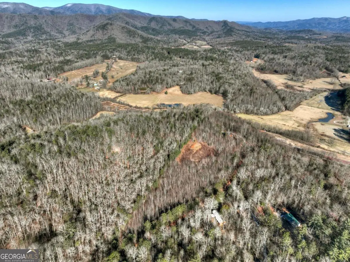 LT 131 & 132 Pack Creek Road, Blue Ridge, GA 30513 - #1
