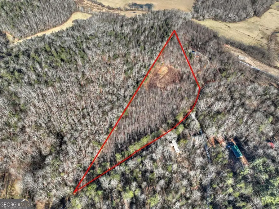 LT 131 & 132 Pack Creek Road, Blue Ridge, GA 30513 - #2