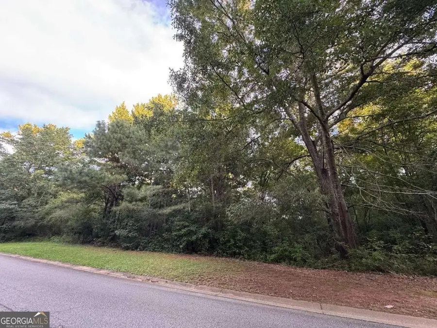 4820 Lexington Road, Athens, GA 30605 - #3