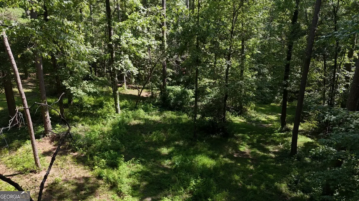 115-LOT 101/ PA Shoal Creek Drive, Sharpsburg, GA 30277 - #1
