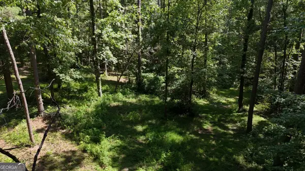 115-LOT 101/ PA Shoal Creek Drive, Sharpsburg, GA 30277