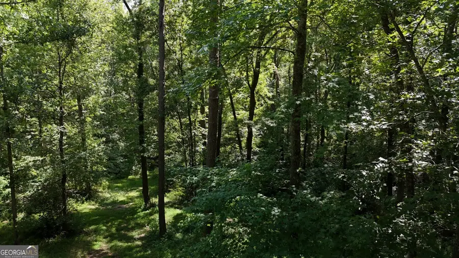 115-LOT 101/ PA Shoal Creek Drive, Sharpsburg, GA 30277 - #2