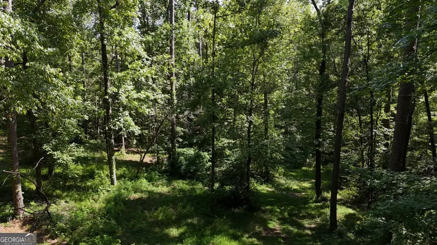 115-LOT 101/ PA Shoal Creek Drive, Sharpsburg, GA 30277 - #3