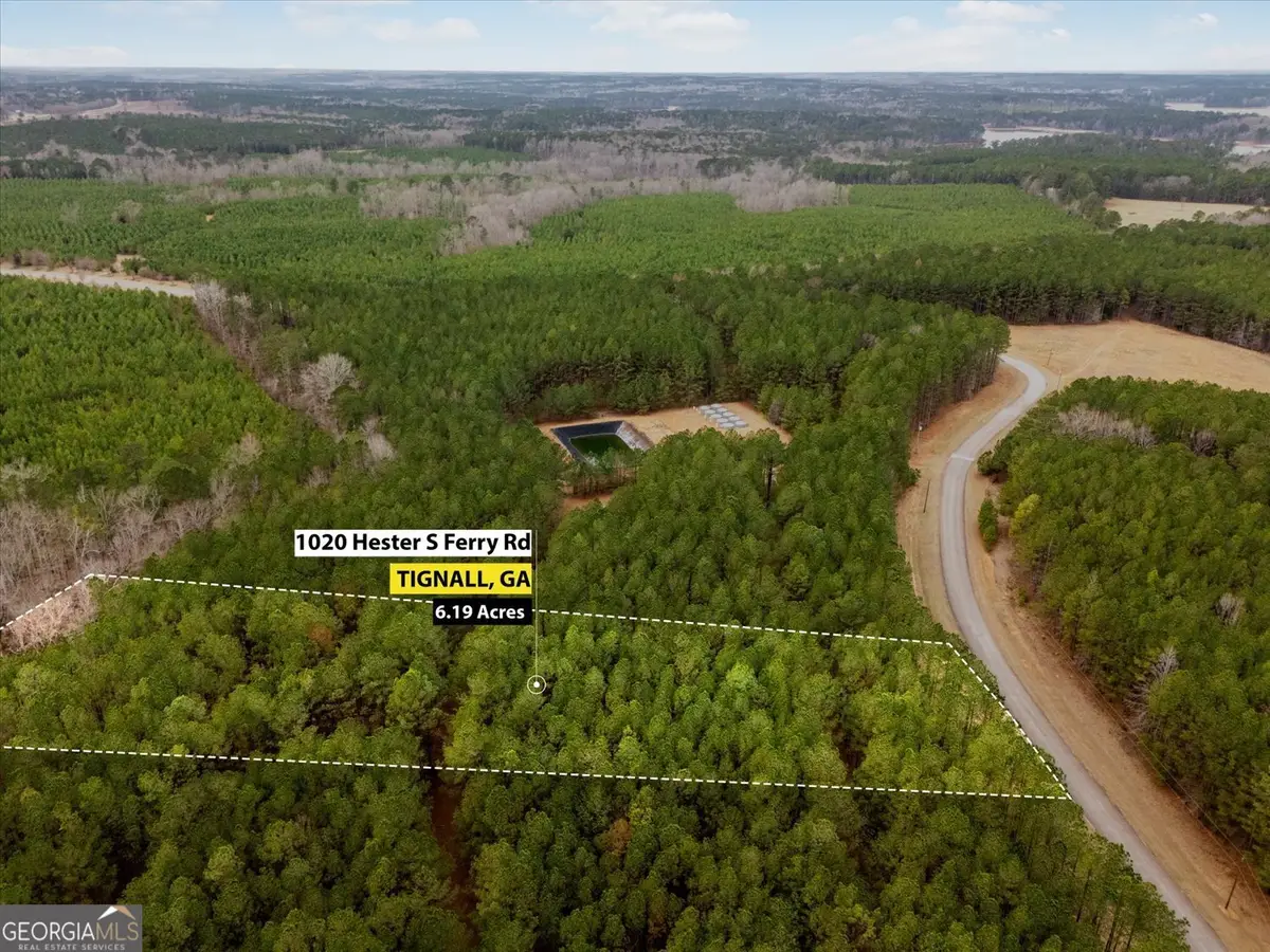 1020 Hesters Ferry Road, Tignall, GA 30668 - #1