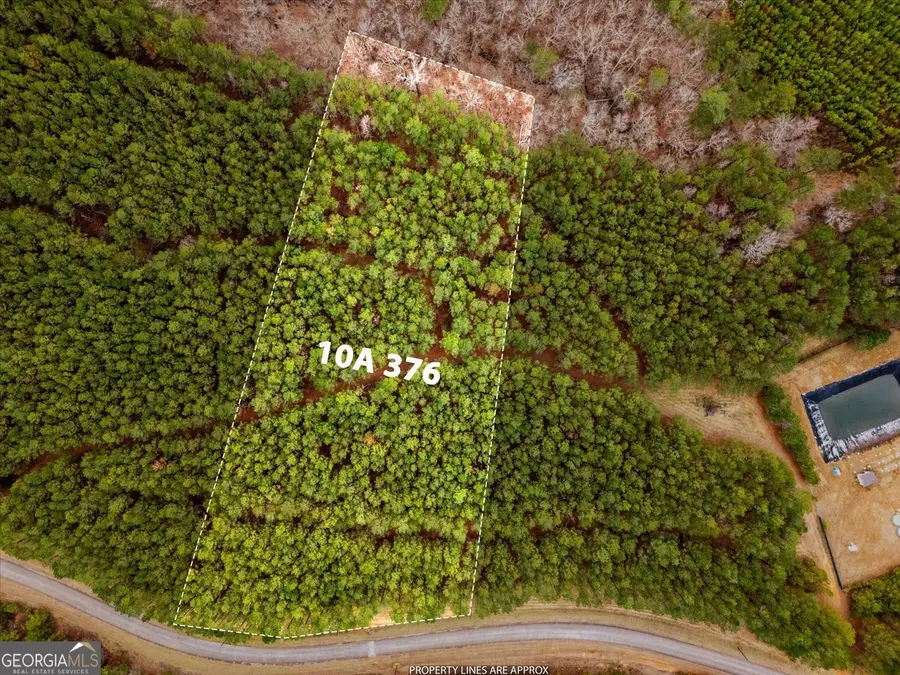 1020 Hesters Ferry Road, Tignall, GA 30668 - #3