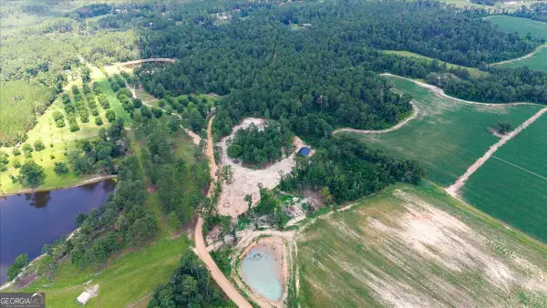 2218 Pittman Road, Cobbtown, GA 30420