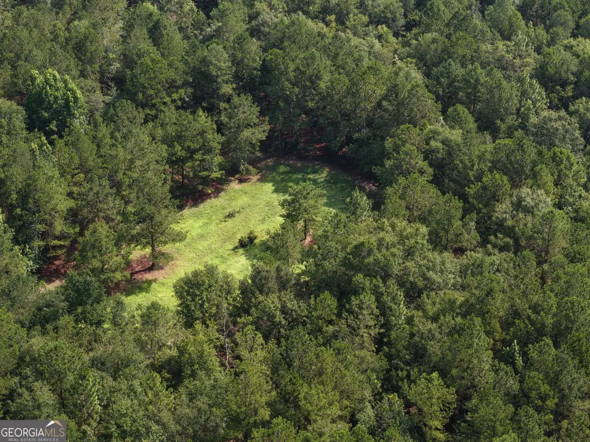 0 Sassertown Road, Rocky Ford, GA 30455 - #1
