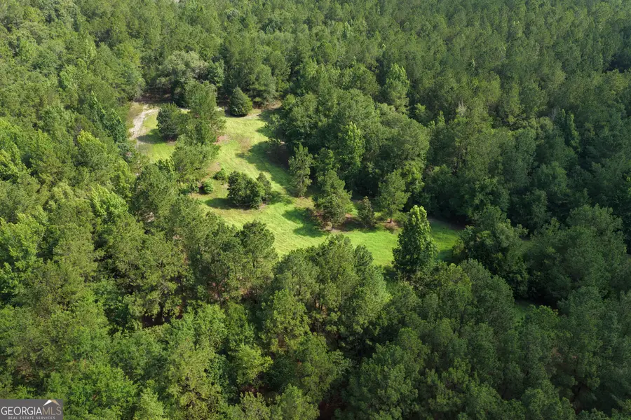 0 Sassertown Road, Rocky Ford, GA 30455 - #3