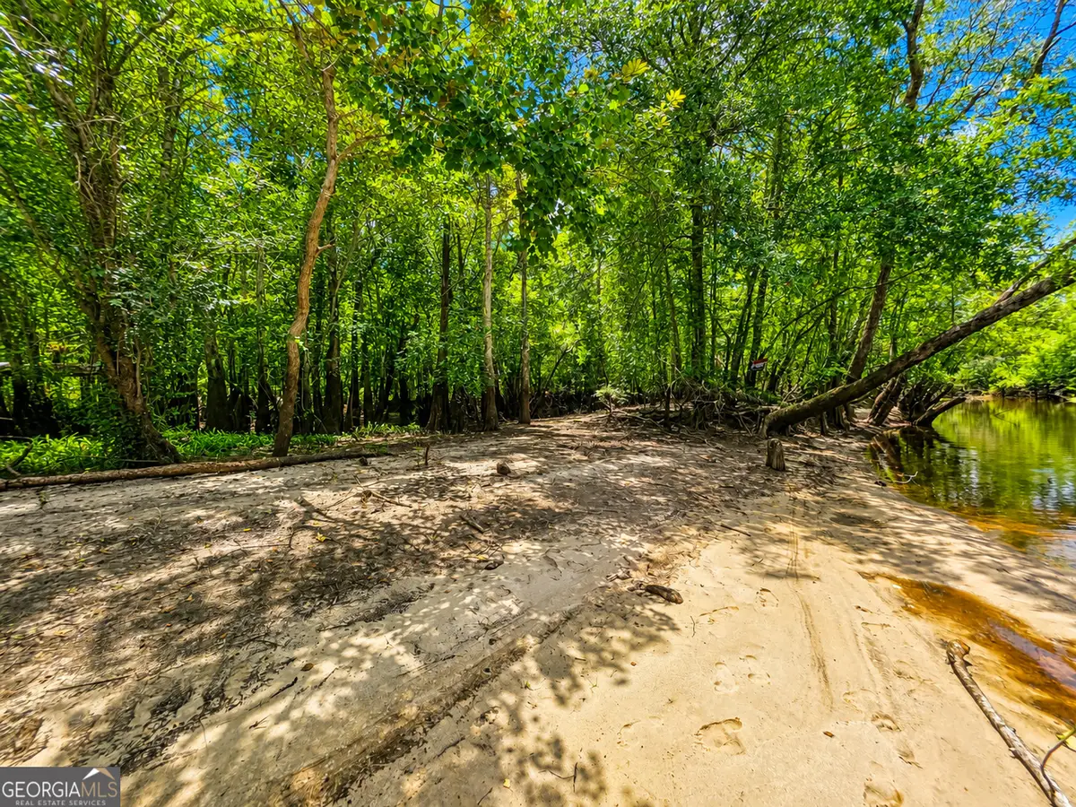 0 Lewis Landing, Nahunta, GA 31553 - #1