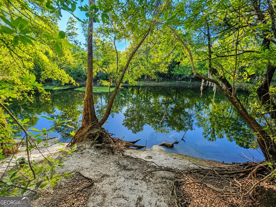 0 Lewis Landing, Nahunta, GA 31553 - #2